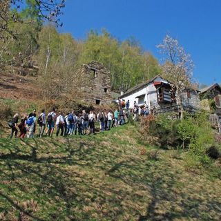 A spasso tra i paesaggi terrazzati del Parco Val Grande