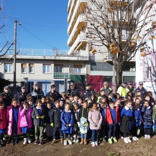 Celebrata alla primaria Tozzi la Giornata nazionale degli alberi FOTO