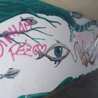 Svastiche e scritte sui muri di Verbania: un lettore scrive a VcoNews