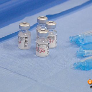 Poco più di 1200 dosi di vaccino somministrate domenica in Piemonte