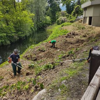 Iniziati i lavori di riqualificazione ecologica e naturalistica al canale di Fondotoce