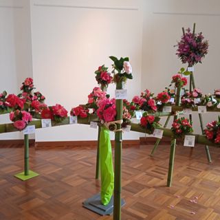 A Verbania a fine marzo torna la Mostra della Camelia