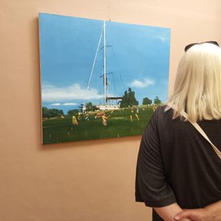 "Acqua Terra Aria": quattro artisti raccontano la natura e l'ambiente al Museo del Paesaggio FOTO