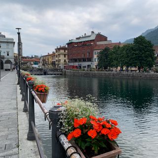 &quot;Omegna in Banda&quot; celebra il 2 Giugno con musica e tradizione