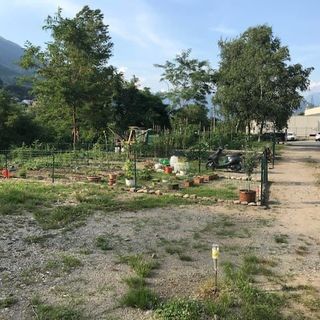 È entrato nel vivo il progetto dei nuovi orti urbani ad Omegna