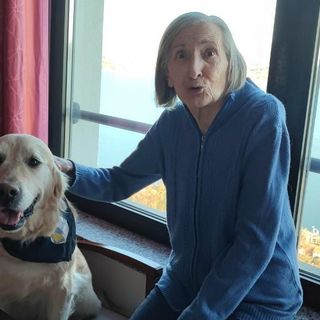 Belgirate, pet therapy per gli ospiti della Rsa Arcadia