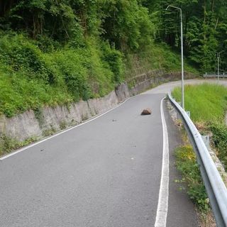 Riaperta dopo un mese la provinciale della Vallestrona