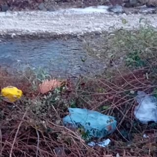 Una mattinata di volontariato per ripulire lo Strona