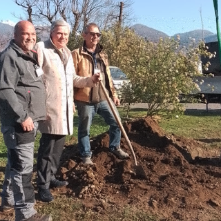 I giardini di Villa Taranto ospitano una nuova quercia da sughero