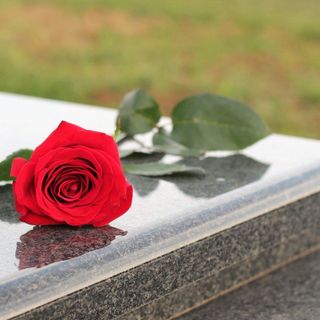 Al via la bonifica nel cimitero di Carciano “abbandonato a se stesso”