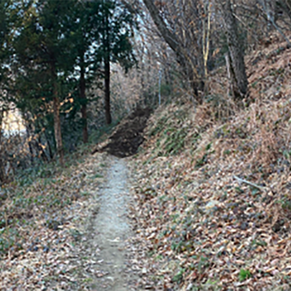 Grazie all'iniziativa di cinque cittadini rinasce il sentiero Borca-Crabbia