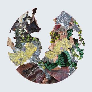 Museo del Paesaggio, inaugura oggi la seconda installazione del progetto 'sull’irrequietezza del divenire'