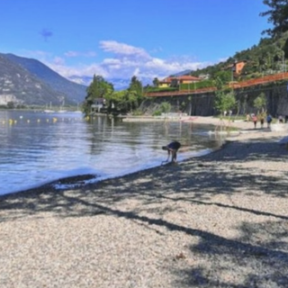 Spiaggia dei Tre Ponti ripulita dopo una festa dai  ragazzi: “Abbiamo sbagliato, ma abbiamo imparato”