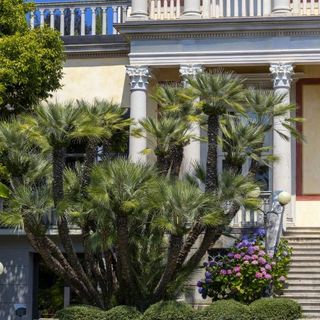 Villa Giulia rinnova bar e ristorante