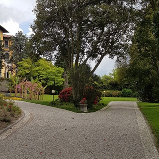 Torna a Villa Giulia la mostra-mercato &quot;Cactus Folies&quot;
