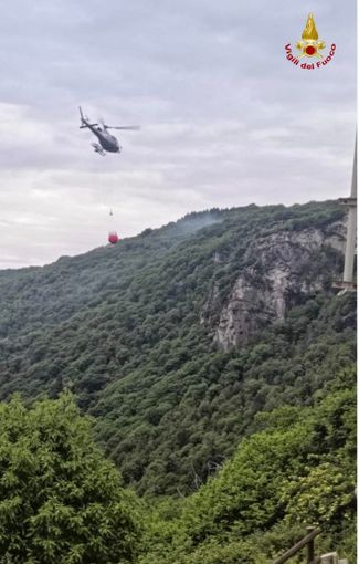 Incendio boschivo a Madonna del Sasso: fiamme domate dopo ore di intervento Incendio boschivo a Madonna del Sasso: fiamme domate dopo ore di intervento