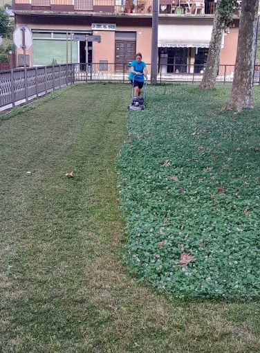 Gli Amici di Crusinallo completano la pulizia del quartiere FOTO