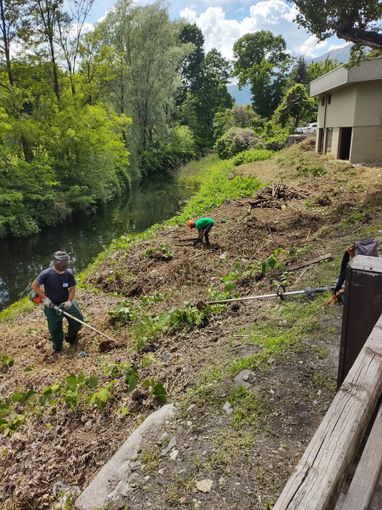 Iniziati i lavori di riqualificazione ecologica e naturalistica al canale di Fondotoce Iniziati i lavori di riqualificazione ecologica e naturalistica al canale di Fondotoce