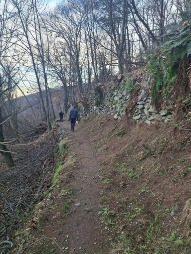 Stresa, i volontari del Cips al lavoro per i sentieri della località Falchetti