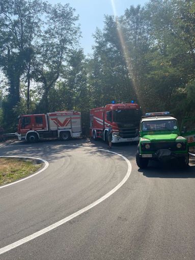 Incendio nei boschi sopra Cambiasca, fiamme spente grazie al rapido intervento dei soccorritori