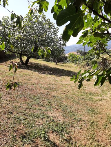 Collaborazione tra quartieri e amministrazione per migliorare la sicurezza e la qualità della vita Collaborazione tra quartieri e amministrazione per migliorare la sicurezza e la qualità della vita