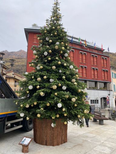 Cinque alberi di Natale e una pista di pattinaggio galleggiante per le festività omegnesi Cinque alberi di Natale e una pista di pattinaggio galleggiante per le festività omegnesi