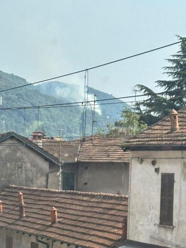 Incendio boschivo ad Agrano, in azione i vigili del fuoco Incendio boschivo ad Agrano, in azione i vigili del fuoco