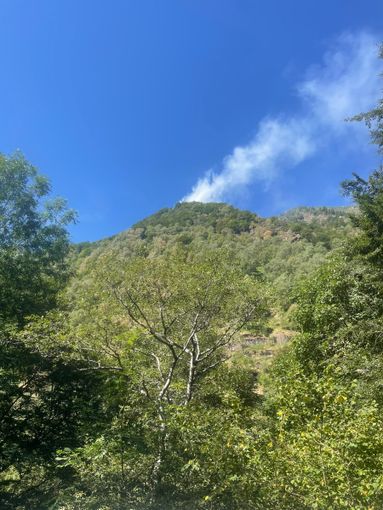 Valstrona, incendio boschivo sopra Forno: in azione Canadair ed elicottero Erickson