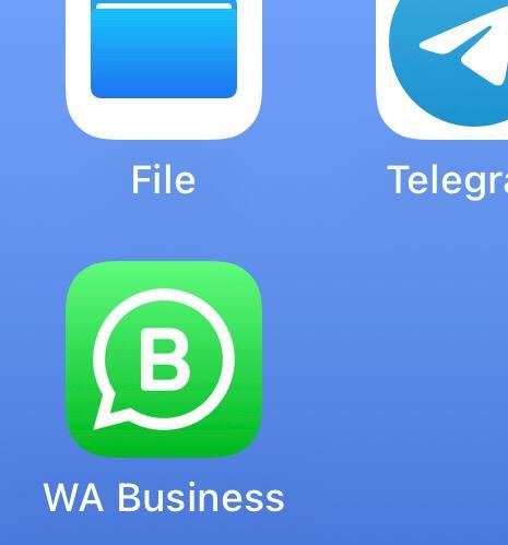 WhatsApp in tilt: problemi per la app di Meta WhatsApp in tilt: problemi per la app di Meta
