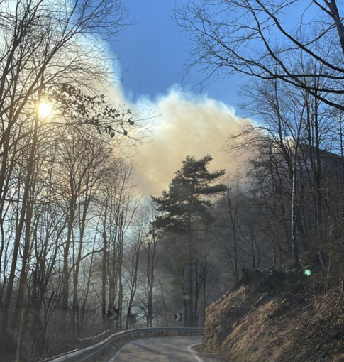 Incendi a Gurro e Trontano: vigili del fuoco in azione Incendi a Gurro e Trontano: vigili del fuoco in azione