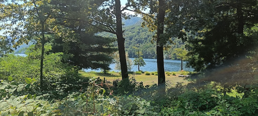 Torna la giornata ecologica a Omegna Torna la giornata ecologica a Omegna