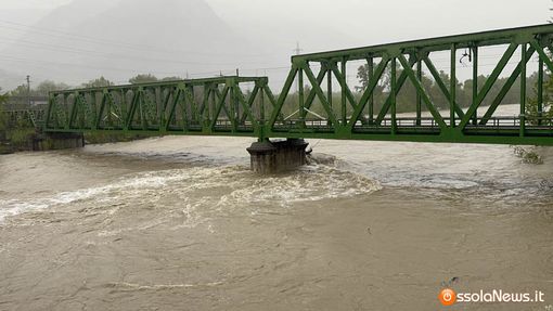 Pasqua in giallo, ma per Pasquetta si torna a vestirsi di verde dopo una settimana di paura Pasqua in giallo, ma per Pasquetta si torna a vestirsi di verde dopo una settimana di paura