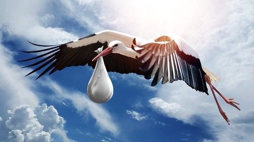 Solo in quindici comuni del Vco si nasce di più che nel resto d'Italia Solo in quindici comuni del Vco si nasce di più che nel resto d'Italia