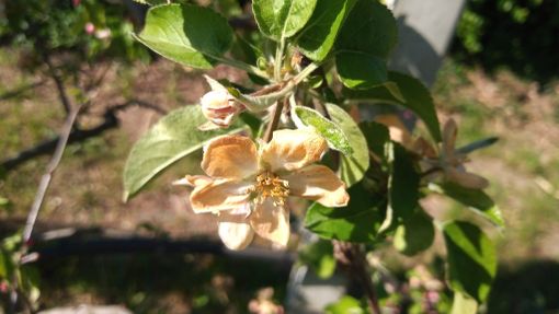 ''Danni ingenti, serve lo stato di calamità e un sostegno per le imprese&quot;