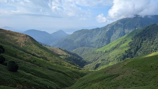 Ripristino ambientale, avviati i lavori di contenimento della felce aquilina in Val Grande