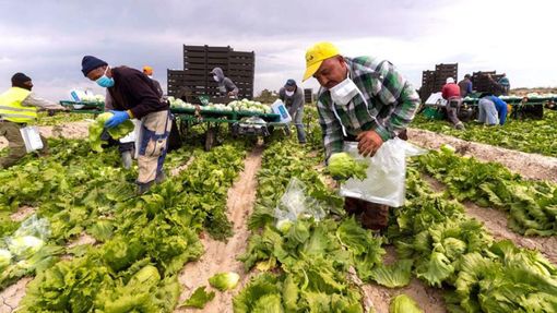 "Il Piemonte può essere modello contro lo sfruttamento lavorativo” "Il Piemonte può essere modello contro lo sfruttamento lavorativo”