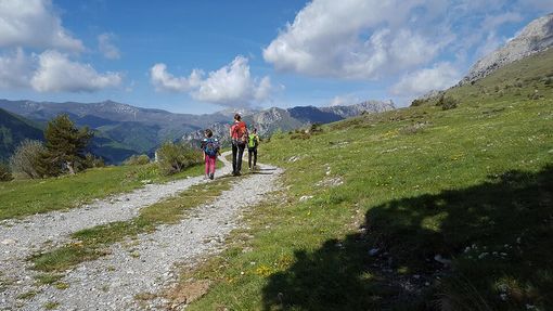 Turismo in Piemonte: nei primi sei mesi del 2025 presenze in crescita del 5,3% Turismo in Piemonte: nei primi sei mesi del 2025 presenze in crescita del 5,3%