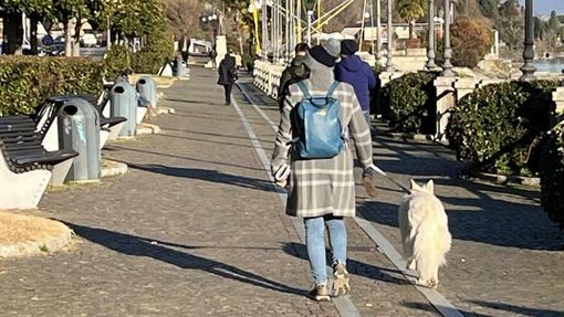 Restyling dell'ultimo tratto del lungolago Intra: affidata la progettazione