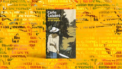 'Meccanica di un addio': un thriller mozzafiato nella foresta amazzonica a Verbania 'Meccanica di un addio': un thriller mozzafiato nella foresta amazzonica a Verbania