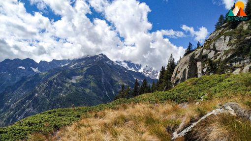 Escursione all'Alpe Cicerwald e all'Alpe Tore
