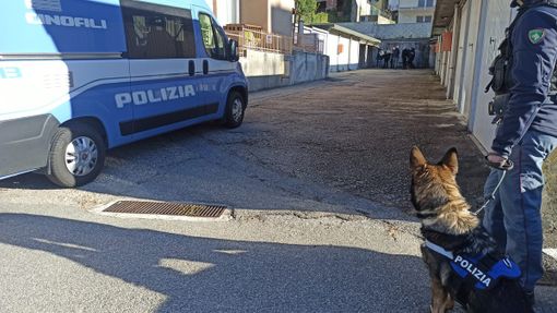 Un arresto e un mandato di cattura per un giro di spaccio tra Cusio e Verbano Un arresto e un mandato di cattura per un giro di spaccio tra Cusio e Verbano