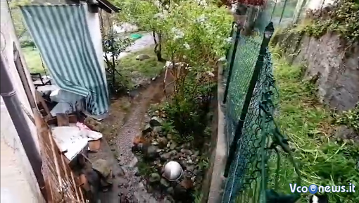 Fognatura guasta da anni a Sasso Gambello, i residenti: "Non si può andare avanti così" VIDEO