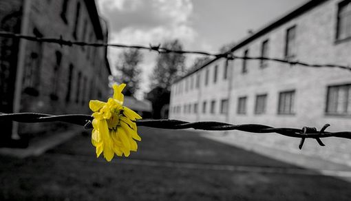 Il comune organizza un viaggio ad Auschwitz e Birkenau per non dimenticare