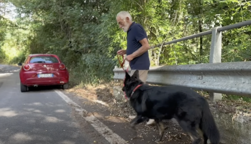 #senontiportononparto: la nuova campagna della polizia contro l'abbandono degli animali #senontiportononparto: la nuova campagna della polizia contro l'abbandono degli animali