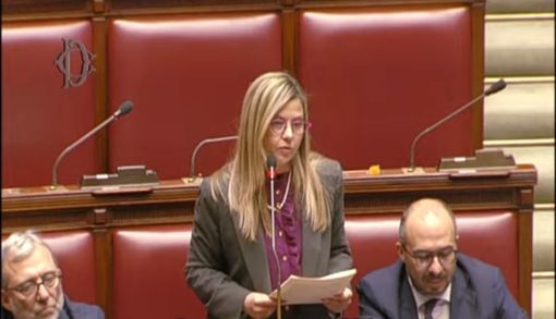 Carceri: Gadda, su recidiva molte parole ma pochi fatti Carceri: Gadda, su recidiva molte parole ma pochi fatti