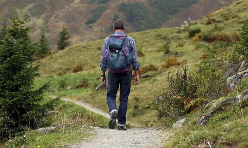 Dodici vette del Vco per scoprire e vivere la montagna Dodici vette del Vco per scoprire e vivere la montagna