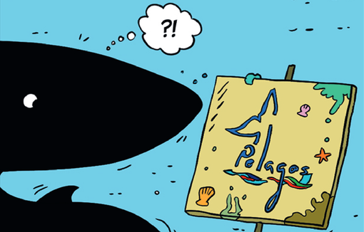 Non solo fumetti. “Io sono Balenottera”: la balena parlante che racconta il Santuario Pelagos Non solo fumetti. “Io sono Balenottera”: la balena parlante che racconta il Santuario Pelagos