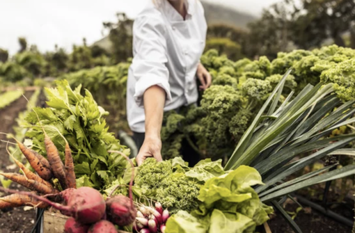Agricoltura: bando regionale da 1,7 milioni per la creazione delle filiere corte piemontesi Agricoltura: bando regionale da 1,7 milioni per la creazione delle filiere corte piemontesi