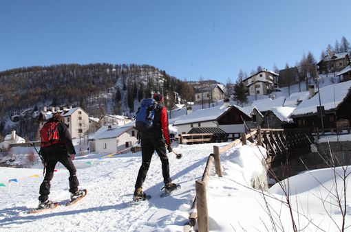 Aree protette, informazione per non mettere a rischio la fauna alpina durante le escursioni invernali Aree protette, informazione per non mettere a rischio la fauna alpina durante le escursioni invernali