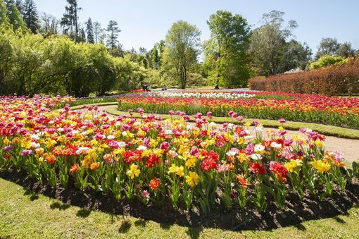 Pasqua, cosa fare dalle montagne ai laghi Pasqua, cosa fare dalle montagne ai laghi